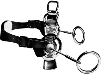 The Wellep lever cheek Dr Bristol
snaffle